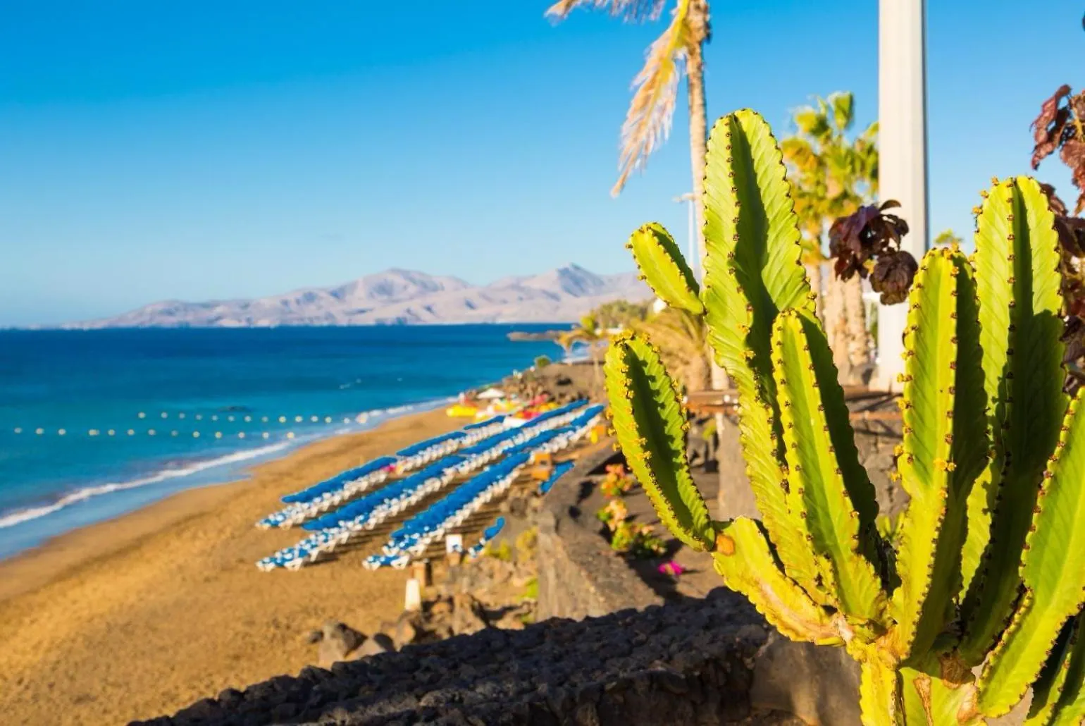 Apartamento Playa Honda Red Suite